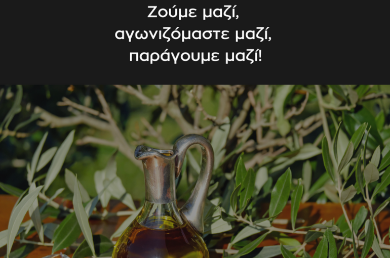 28379281_1776093619352137_7831949659967094158_n