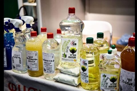 71515667_2468509479885044_9127510028960399360_n