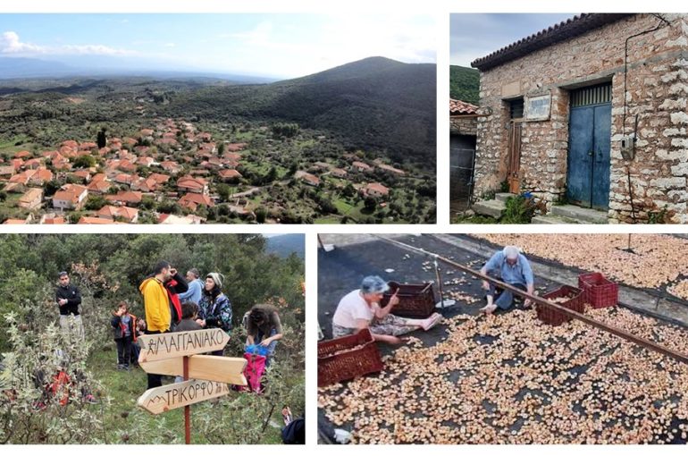 245321997_4468067316595907_2327529894895515524_n